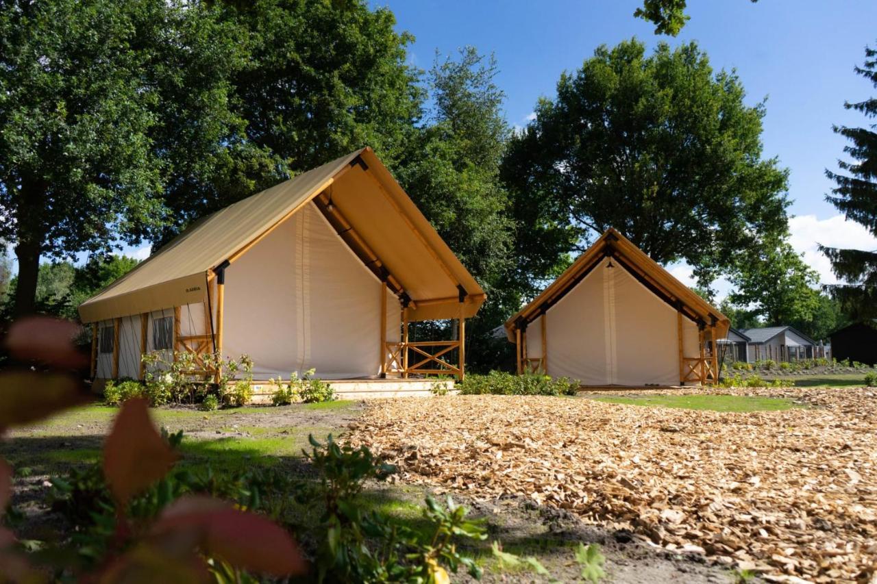 Europarcs Zilverstrand Mol Værelse billede