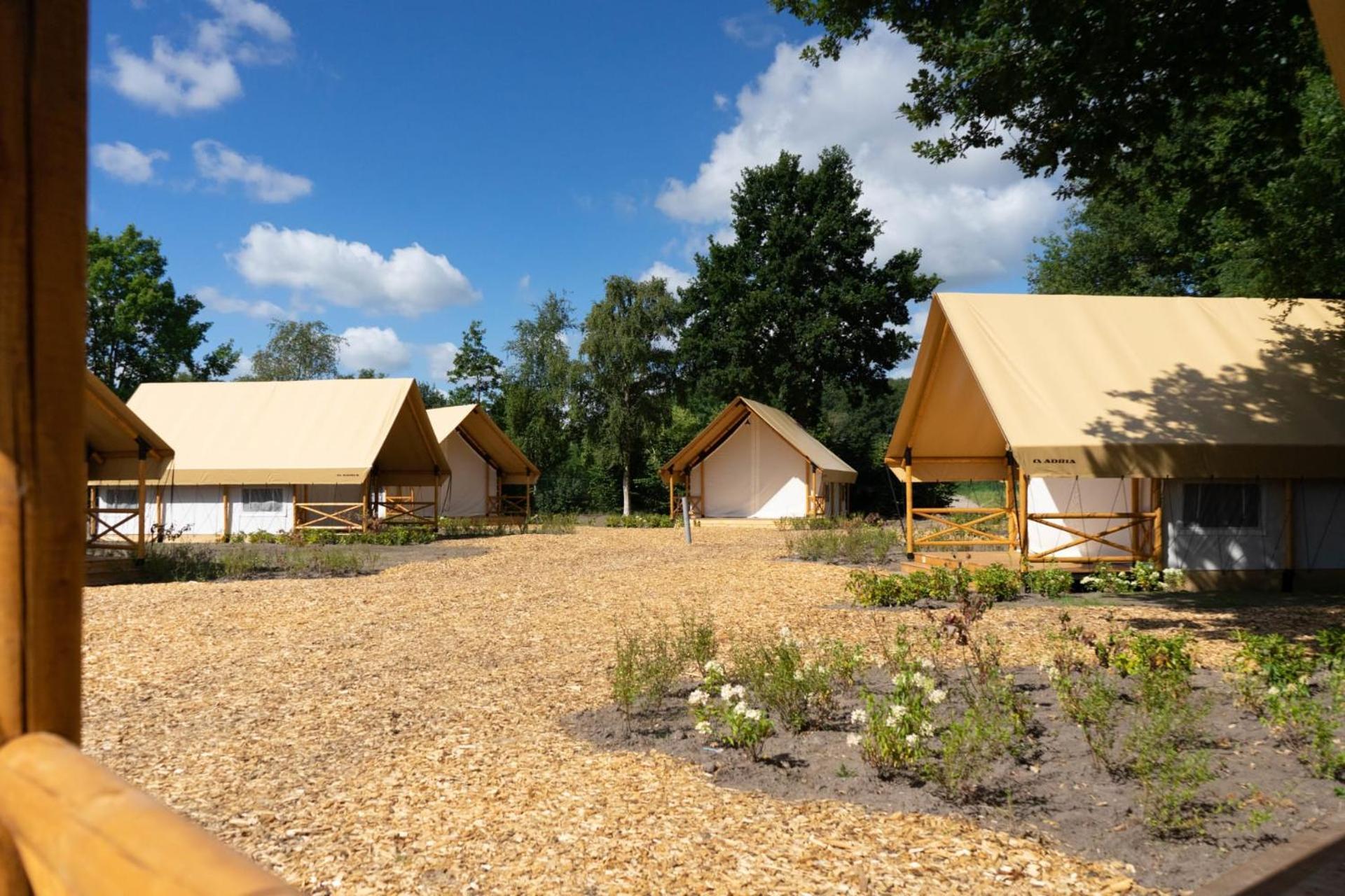 Europarcs Zilverstrand Mol Værelse billede